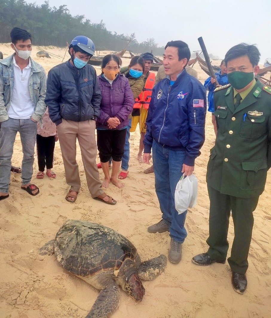 Cá thể rùa quý hiếm này được ngư dân Nguyễn Trường Tuyên (trú tại xã Xuân Phổ) bất ngờ phát hiện khi nó mắc vào lưới trong lúc đánh bắt cá trên sông Lam, đoạn qua thôn Thống Nhất.