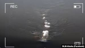 Cụ thể, ông McCaa cùng đồng nghiệp Ryan Delaney đến khu vực sông Chena để ghi nhận tình hình tại nơi này.