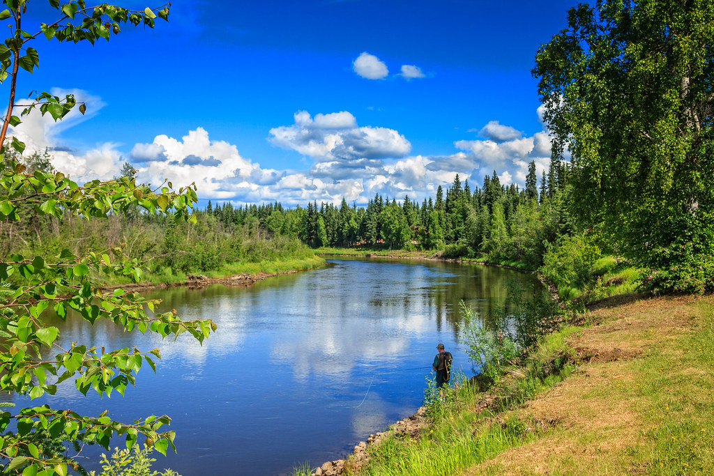 Tuy nhiên, một vài người khác cho rằng, thứ mà ông McCaa nhìn thấy cứ ngỡ là quái vật nhưng thực tế có thể chỉ là một cành cây hay đám cỏ dại.