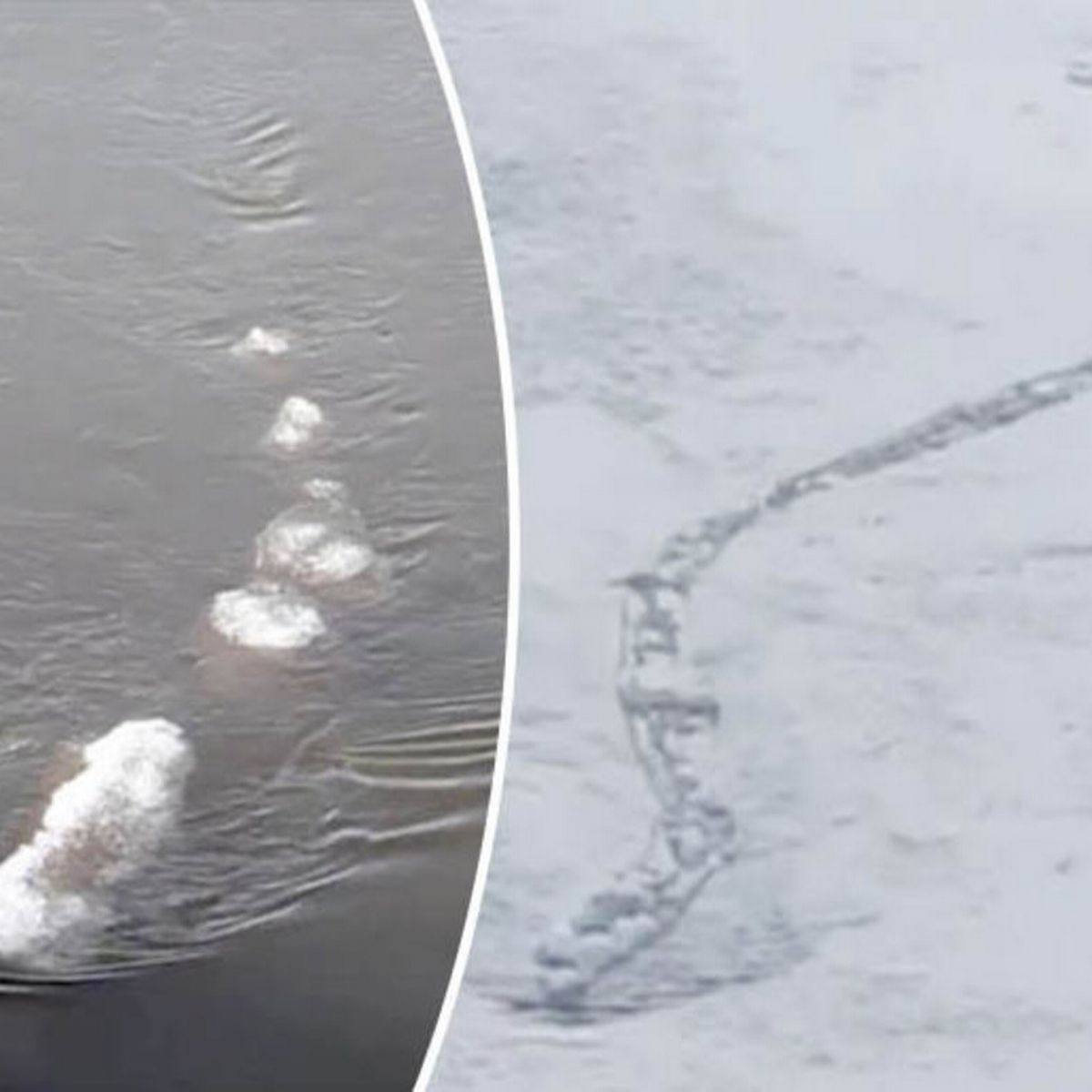 Dù vậy, nhiều người tò mò không biết dưới sông Chena có thực sự tồn tại một thủy quái hay không. Họ hy vọng bí ẩn này sẽ sớm được giải mã một cách chính xác.