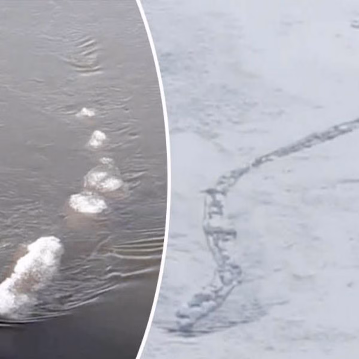 Dù vậy, nhiều người tò mò không biết dưới sông Chena có thực sự tồn tại một thủy quái hay không. Họ hy vọng bí ẩn này sẽ sớm được giải mã một cách chính xác.