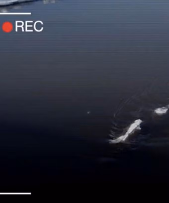 Một số người cho rằng, sinh vật bí ẩn mà ông McCaa nhìn thấy có thể là "họ hàng" của quái vật hồ Loch Ness.