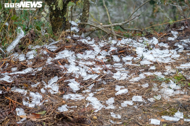 Sau khi băng tuyết ngừng rơi để lại một lớp băng trắng mỏng trên đường đi, mái nhà, ngọn cỏ và cây rừng. Đây là trận băng tuyết đầu tiên xảy ra tại Lào Cai trong mùa Đông này.