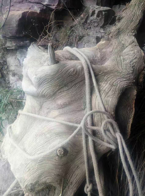 Nhìn bề ngoài, "khúc gỗ" lạ mà tiểu Lý tìm thấy trông giống như một phần của cây cổ thụ. Thoạt nhìn, nó trông có vẻ lớn và khá nặng nhưng khi nhấc lên khá nhẹ. Vì vậy, anh quyết định mang nó về nhà.