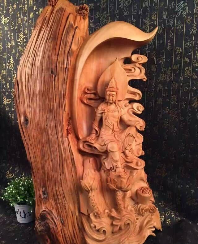 Nhai bách có thể tồn tại trong hàng trăm năm. Do vậy, gỗ của nó vô cùng quý hiếm. Chúng được các nhà sưu tầm, chuyên gia về thực vật hết sức quan tâm.