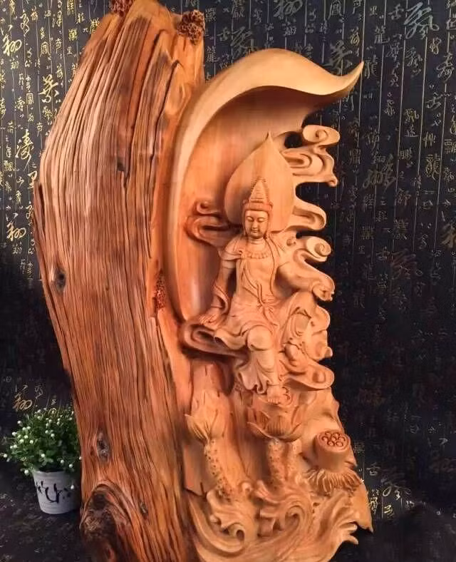 Nhai bách có thể tồn tại trong hàng trăm năm. Do vậy, gỗ của nó vô cùng quý hiếm. Chúng được các nhà sưu tầm, chuyên gia về thực vật hết sức quan tâm.