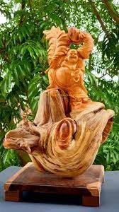 Theo lời chuyên gia trên, gỗ nhai bách được xem như quốc bảo. Loài cây này sinh trưởng chủ yếu ở các ngọn núi hoặc sườn dốc ở độ cao trên 1500m so với mực nước biển.