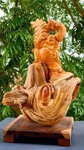 Theo lời chuyên gia trên, gỗ nhai bách được xem như quốc bảo. Loài cây này sinh trưởng chủ yếu ở các ngọn núi hoặc sườn dốc ở độ cao trên 1500m so với mực nước biển.