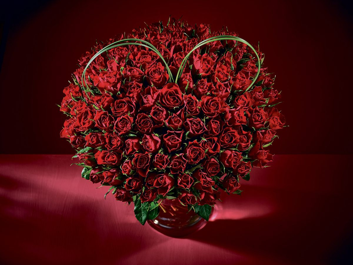 Một truyền thuyết khác kể rằng, nữ thần Tình yêu được sinh ra với một đóa hồng màu trắng.