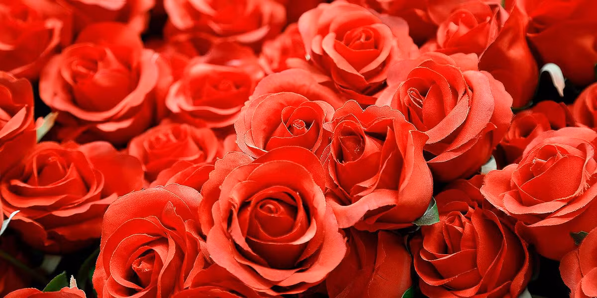 Do đó, để vượt qua những khó khăn thử thách, các cặp tình nhân luôn yêu thương, tin tưởng, sẻ chia niềm vui, nỗi buồn và vun đắp cho hạnh phúc của mình.