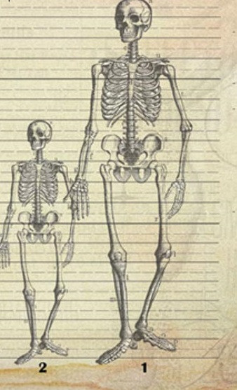 Serpent Mound (Gò Rắn) nằm ở miền nam bang Ohio của Mỹ. Theo các chuyên gia, nơi đây có niên đại vào khoảng năm 321 trước Công nguyên. Vào những năm 1890, một bộ hài cốt người khổng lồ được phát hiện tại Gò Rắn.