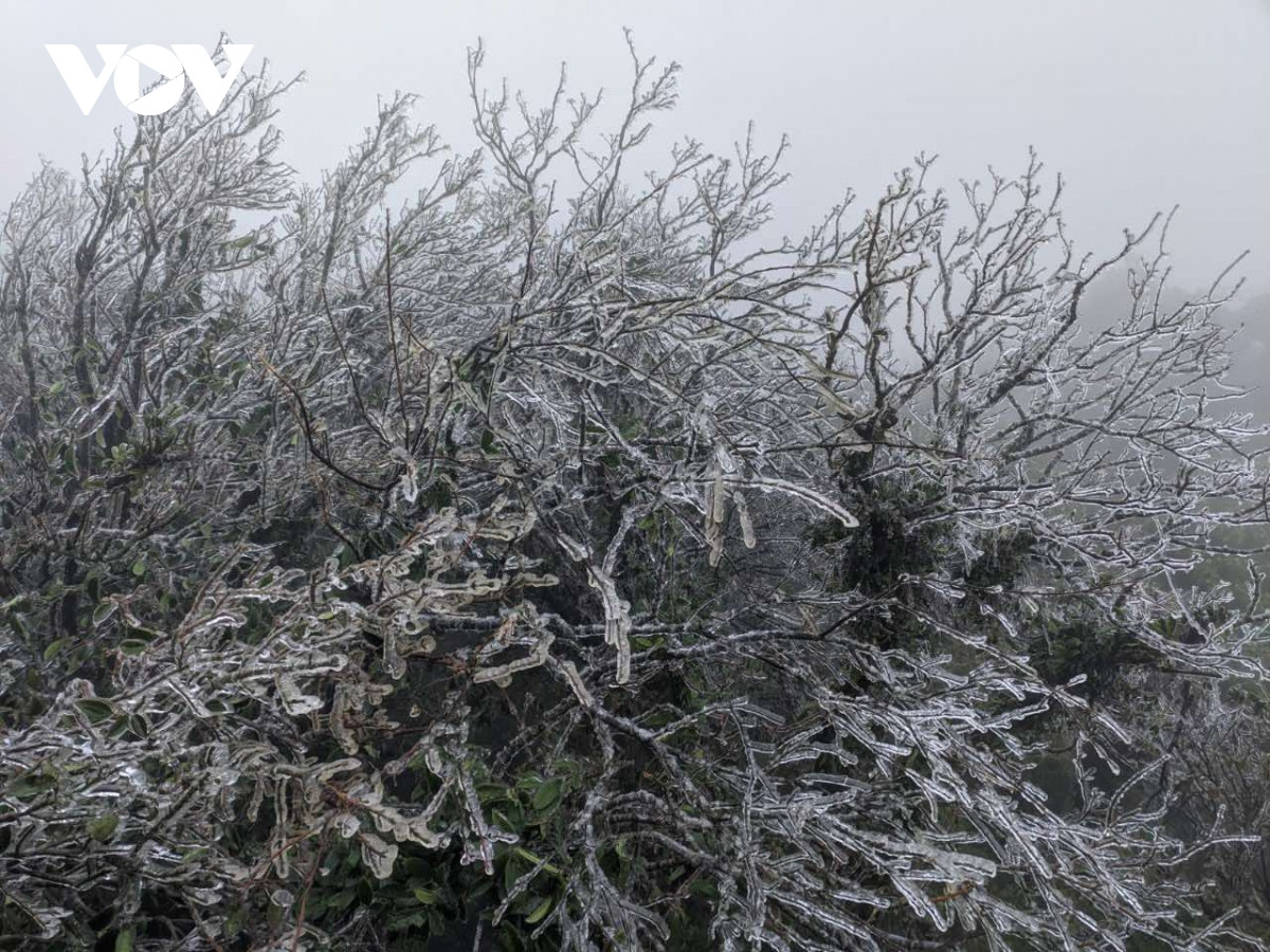 Mien Bac dang don dot ret la 1 trong 6 dot co nhiet do thap nhat trong 40 nam-Hinh-2