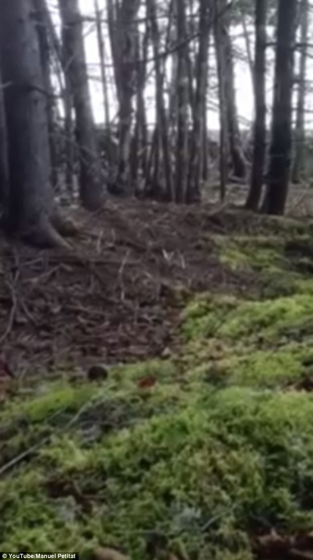 Vài người khác đưa ra quan điểm bên dưới vùng đất kỳ bí đó có thể có những chiếc hố hoặc dòng chảy ngầm. Chúng có thể là "thủ phạm" khiến nơi đây có thể "thở" như con người.