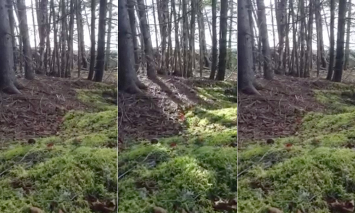 Sau khi xem video của ông Nuttall, nhiều người dân vừa ngỡ ngàng vừa cảm thấy khó hiểu không biết điều gì đang xảy ra tại vùng đất kỳ lạ này.