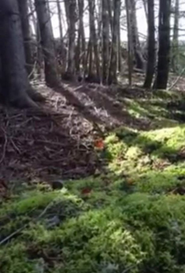 Cụ thể, ông Nuttall quay được cảnh một khu đất tự dâng lên rồi hạ xuống giống như đang "thở". Sau đó, ông công bố video lên trang Facebook cá nhân và thu hút hàng triệu lượt xem.