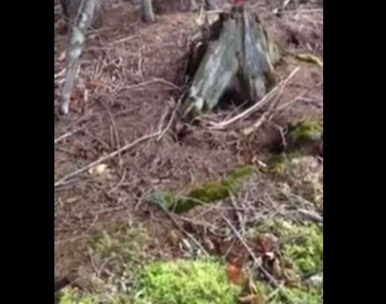 Theo đó, bí ẩn xảy ra tại vùng đất biết "thở" như con người vẫn là ẩn số lớn khiến con người bỏ nhiều thời gian đi tìm lời giải.