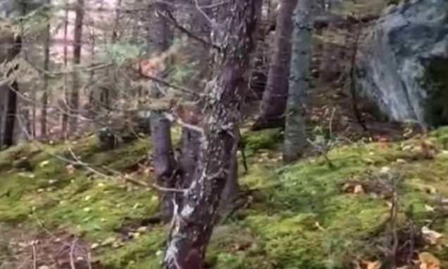 Đó chỉ là những giả thuyết chưa có bằng chứng chứng minh. Một số nhà khoa học đã đến vùng đất này và tiến hành các nghiên cứu nhưng vẫn chưa tìm ra lời giải.