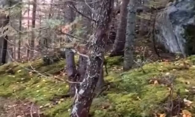 Đó chỉ là những giả thuyết chưa có bằng chứng chứng minh. Một số nhà khoa học đã đến vùng đất này và tiến hành các nghiên cứu nhưng vẫn chưa tìm ra lời giải.