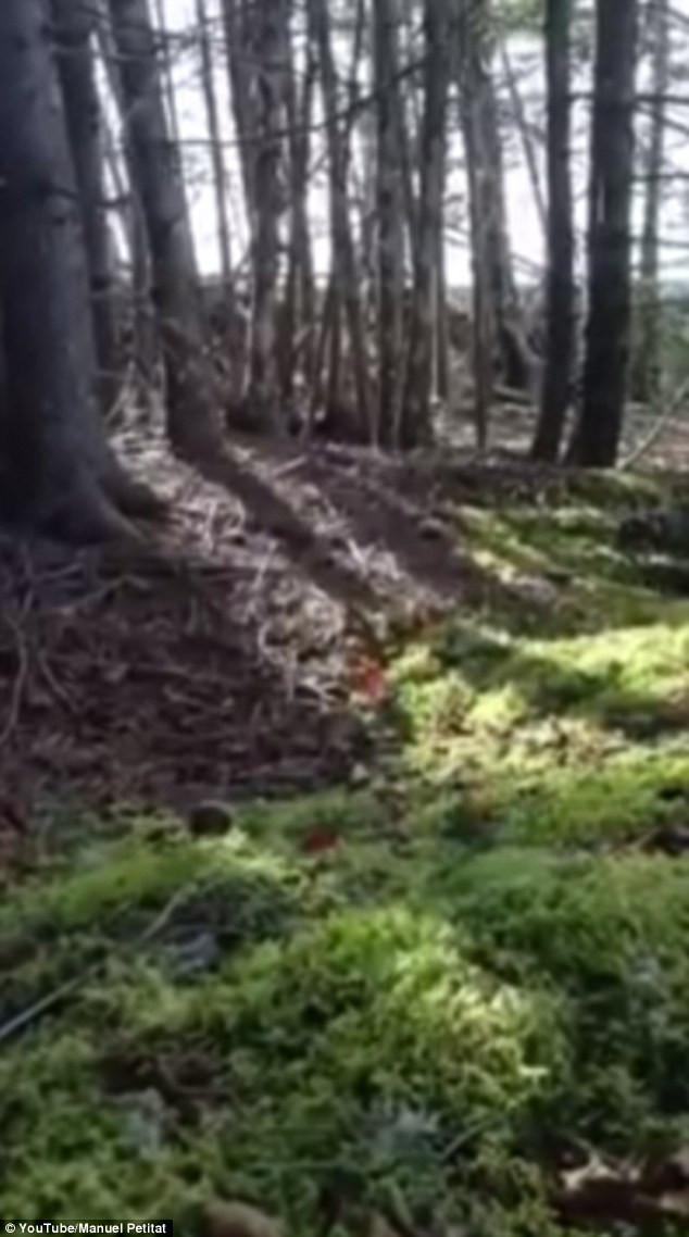 Trong khi đó, một ý kiến khác suy đoán cây cối mọc tại vùng đất này có rễ nông. Do vậy, khi gió thổi mạnh, câu cối sẽ trồi lên rồi hạ xuống giống như đang "thở".