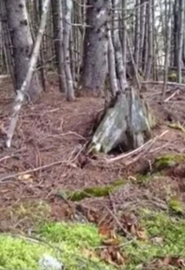 Vào tháng 10/2015, Brian Nuttall ngỡ ngàng chứng kiến sự việc kỳ lạ xảy ra ở một khu đất ở cạnh sông Apple, Nova Scotia, Canada. Ông dùng điện thoại quay lại cảnh vùng đất kỳ lạ có thể "thở" như con người.