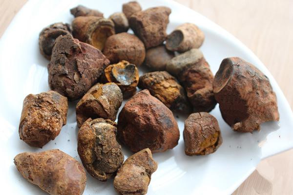 Vị thuốc quý này được hình thành trong mật của bò, trâu... bị ốm trong thời gian dài. Về sau, chúng khiến các con vật ngày càng yếu đi, bỏ ăn và từ từ chết.