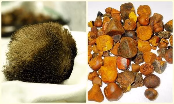 Để xác thực thông tin này, ông lão mời một chuyên gia đến kiểm tra. Theo đó, vị chuyên gia này khẳng định đó thực sự là ngưu hoàng tự nhiên.