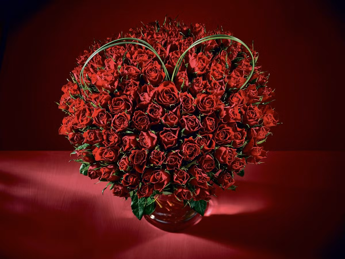 Một truyền thuyết khác kể rằng, nữ thần Tình yêu được sinh ra với một đóa hồng màu trắng.