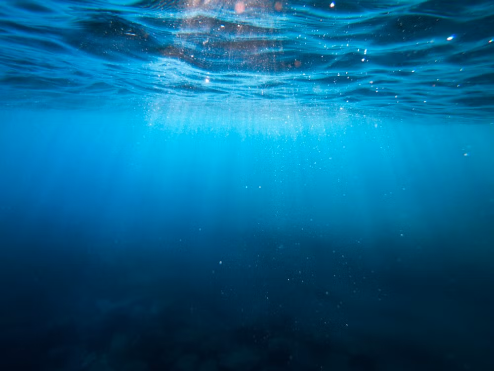 Phải tới năm 1996, bí ẩn về âm thanh kỳ bí trên mới được giải mã. Khi ấy, giáo sư Magnus Wahlberg công tác tại đại học Nam Đan Mạch được quân đội Thụy Điển mời làm trưởng nhóm chuyên gia âm thanh sinh học điều tra, giải mã âm thanh bí ẩn thu được năm 1982.