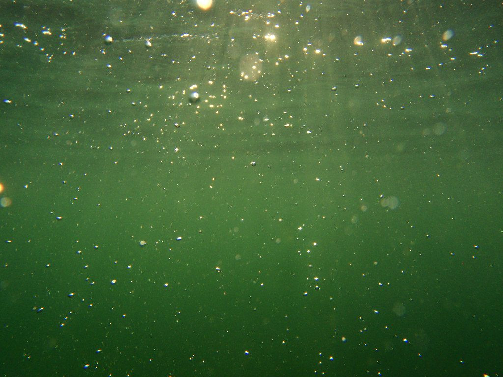 Trong khoảng thời gian ấy, một quan điểm cho rằng âm thanh lạ mà Thụy Điển ghi nhận được trong lòng đại dương có thể đến từ một tàu ngầm nhỏ của Liên Xô.