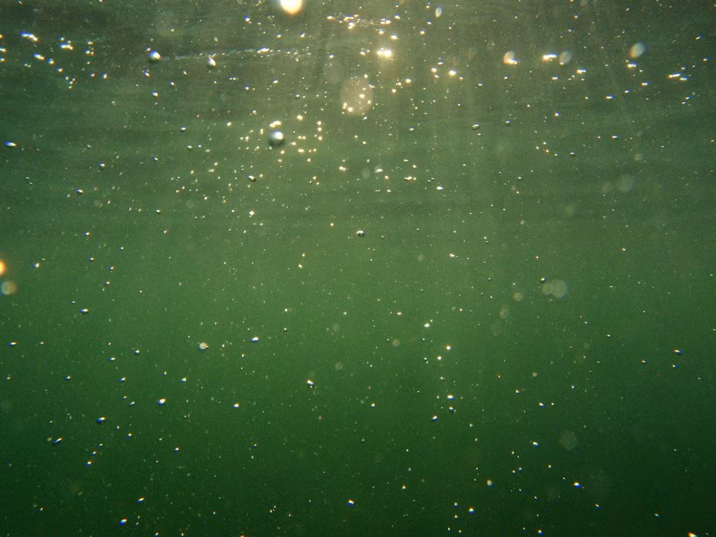 Trong khoảng thời gian ấy, một quan điểm cho rằng âm thanh lạ mà Thụy Điển ghi nhận được trong lòng đại dương có thể đến từ một tàu ngầm nhỏ của Liên Xô.