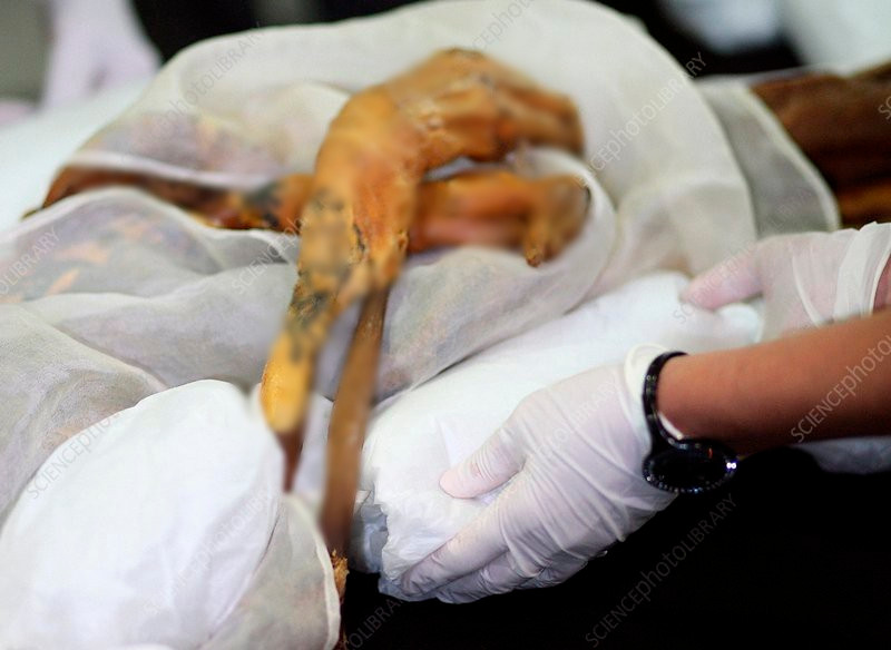 Dù qua đời cách đây hơn 2 thiên niên kỷ nhưng các chuyên gia vẫn có thể nhìn thấy rõ những hình xăm trên cơ thể bà. Các chuyên gia chưa thể giải mã những hình căm này mang thông điệp gì.