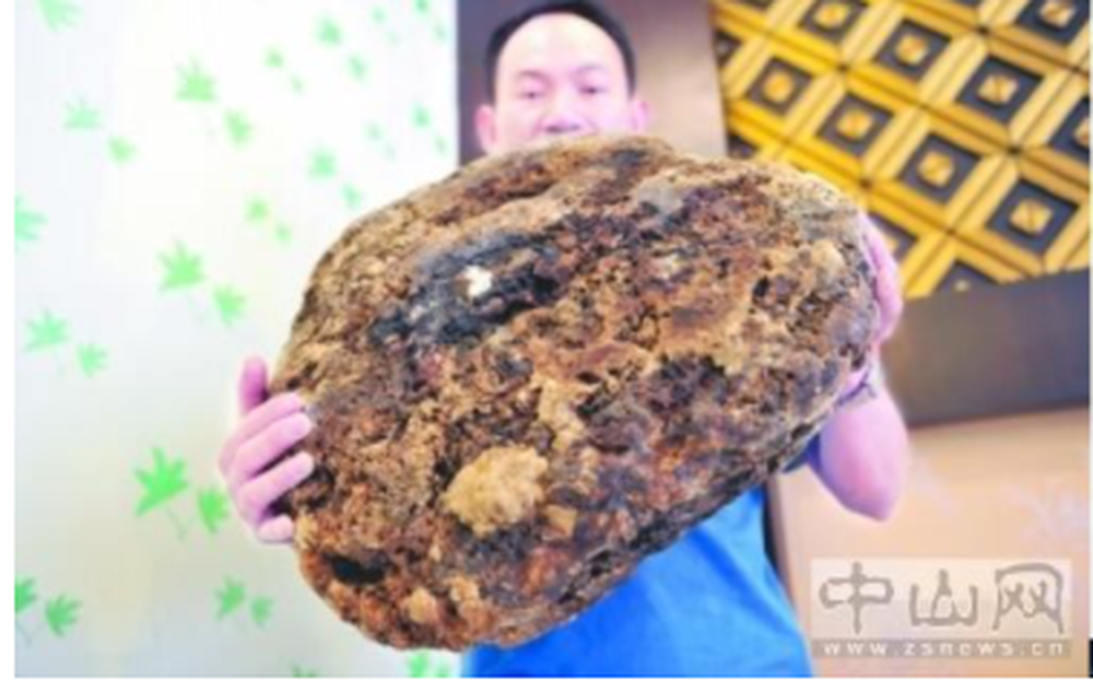 Trong lần về quê ở Trạm Giang dịp Thanh minh cách đây 6 năm, Tiểu Quý - nhân viên bán hàng ở thành phố Trung Sơn, tỉnh Quảng Đông, Trung Quốc đã bất ngờ vớt được một " hòn đá" lạ trôi trên biển. Người này vô cùng bất ngờ khi biết được giá trị của nó.