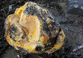 Sau nhiều lần tìm kiếm các chuyên gia kiểm định, Tiểu Quý có cơ hội gặp một chuyên gia thuộc Cục Quản lý Thực phẩm và Dược phẩm Trung Sơn.