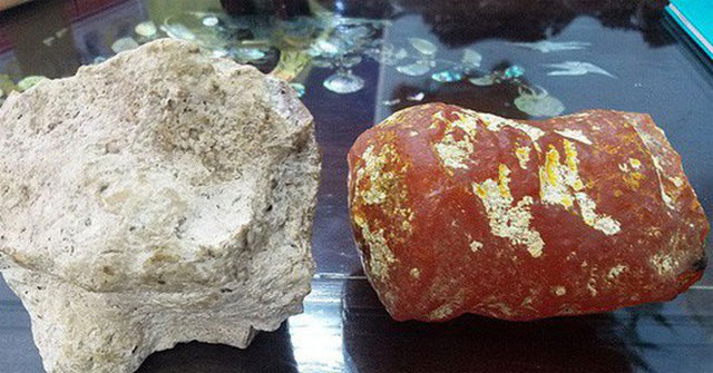 Cụ thể, khi cùng gia đình đi du lịch biển, Tiểu Quý đi dạo trên bờ biển và thấy một "hòn đá" lạ bị những cơn sóng đánh gần vào bờ. Theo đó, anh chạy ra và vớt nó vào bờ rồi mang về nhà.