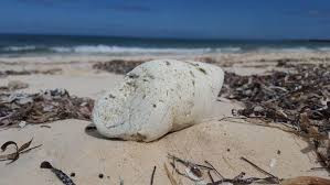 Với bề dày kinh nghiệm, vị chuyên gia có tên là Từ kiểm tra tỉ mỉ tảng đá mà Tiểu Quý mang đến. Cuối cùng, bà kết luận đó thực sự là long diên hương.