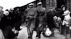 Kể từ năm 1928, bà Monte đi theo nền dân chủ xã hội cánh tả Đức. Một năm sau, bà chuyển tới Anh và trở thành sinh viên không chính thức của Harold Laski tại Trường kinh tế London.