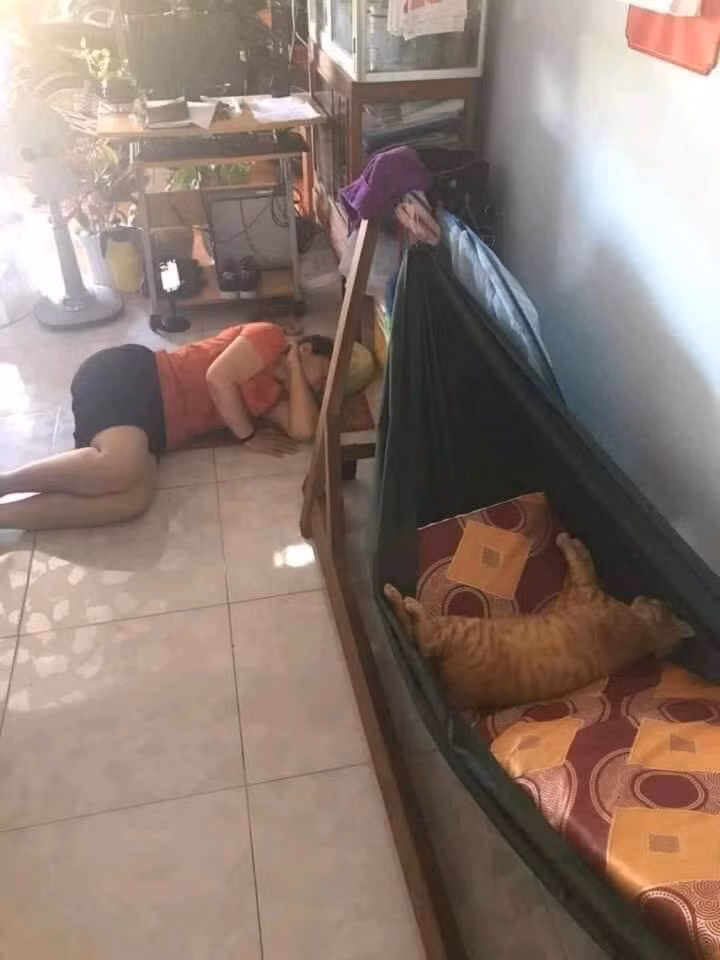 Hình ảnh cho thấy người mẹ đã vô cùng ưu ái chú mèo này như thế nào, cho nằm hẳn lên võng trong khi mình thì chỉ nằm sàn.