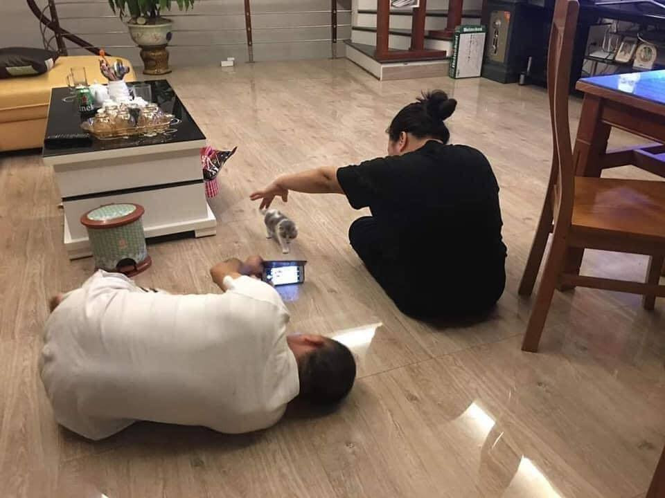 Khi bố muốn chụp ảnh mèo thì mẹ cũng hỗ trợ tối đa để mèo chịu nhìn vào camera.