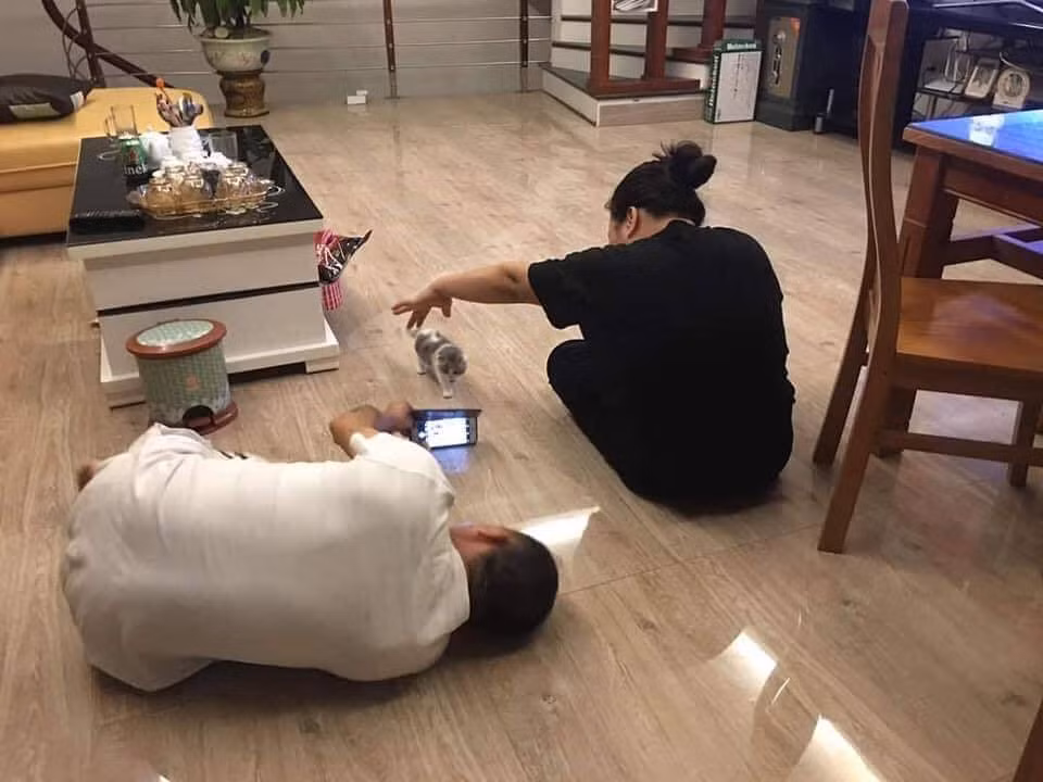 Khi bố muốn chụp ảnh mèo thì mẹ cũng hỗ trợ tối đa để mèo chịu nhìn vào camera.