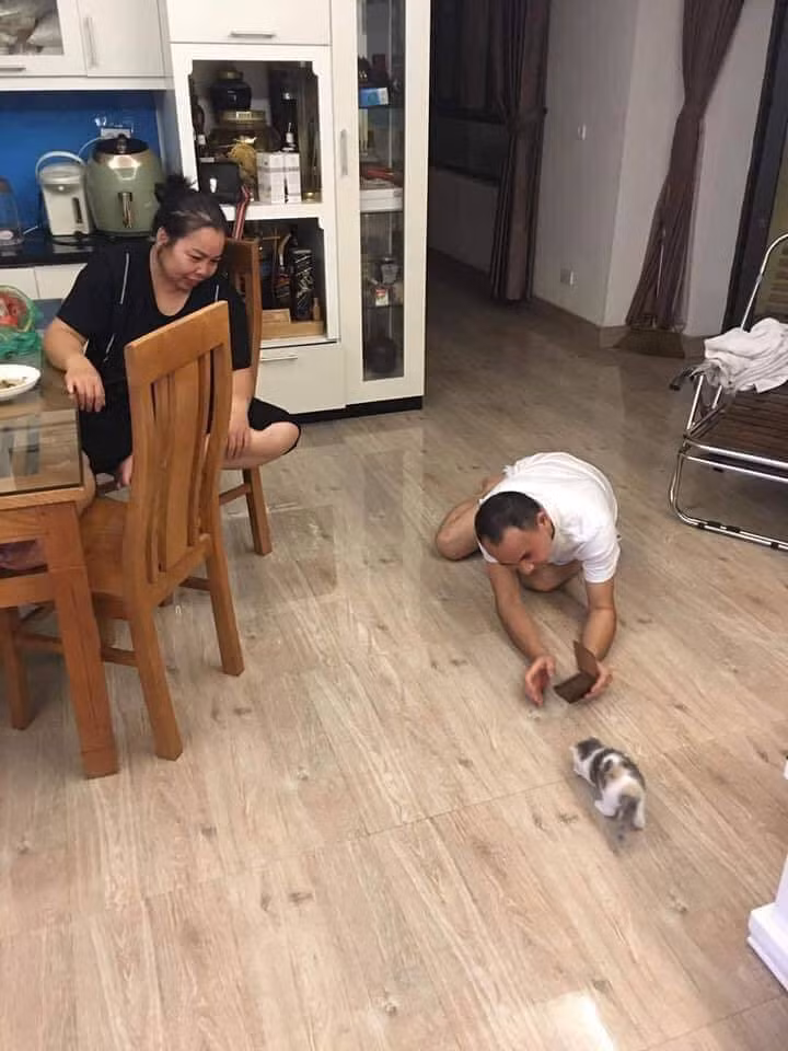 Bố mẹ sẵn sàng nằm dài ra sàn nhà chỉ để chụp ảnh mèo cưng.