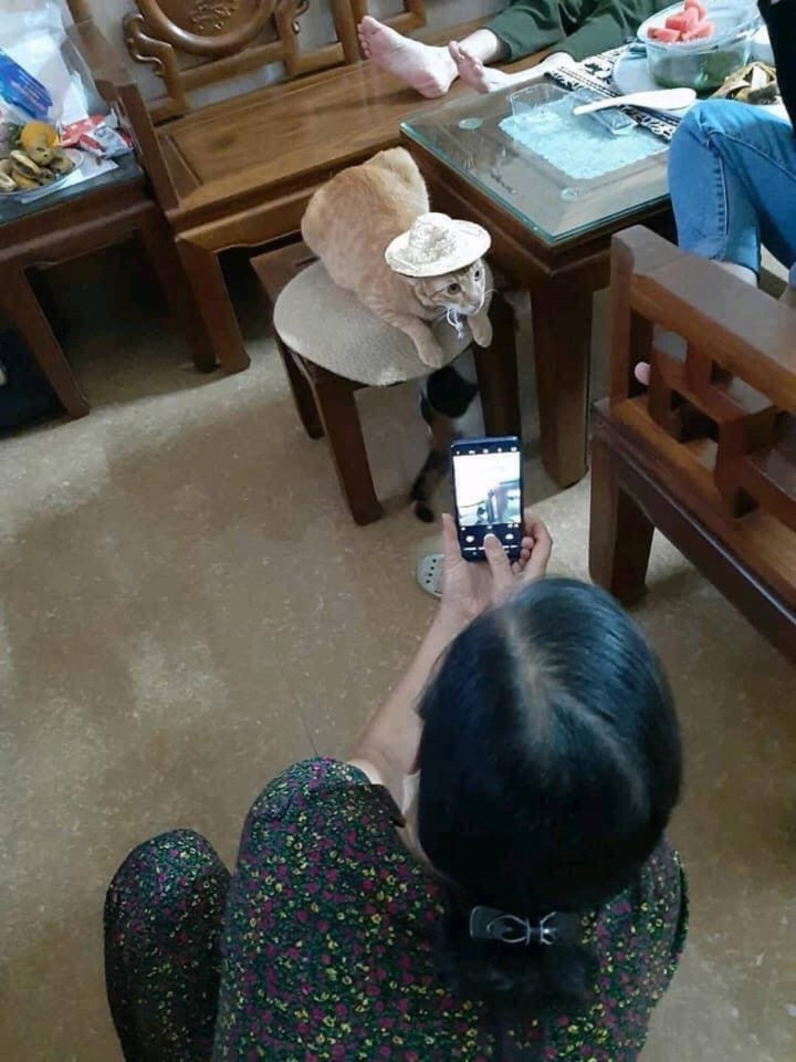 Thậm chí có những người xem thú cưng như thành viên thực thụ trong gia đình, từ đó tạo nên không ít cảnh tượng khiến con đẻ cảm thấy tủi thân không khác gì "con ghẻ".