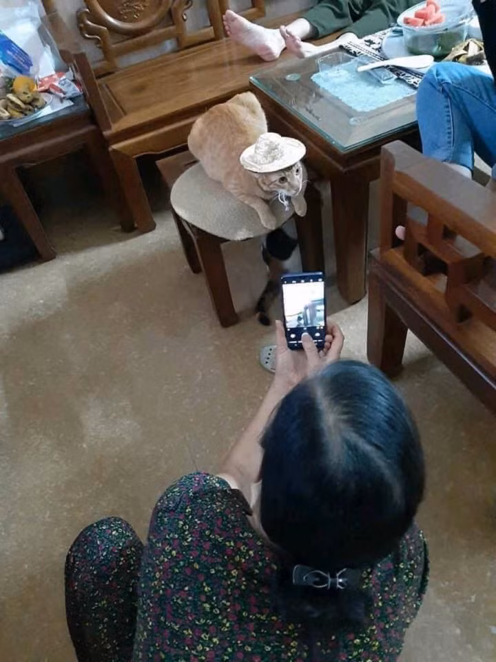 Thậm chí có những người xem thú cưng như thành viên thực thụ trong gia đình, từ đó tạo nên không ít cảnh tượng khiến con đẻ cảm thấy tủi thân không khác gì "con ghẻ".