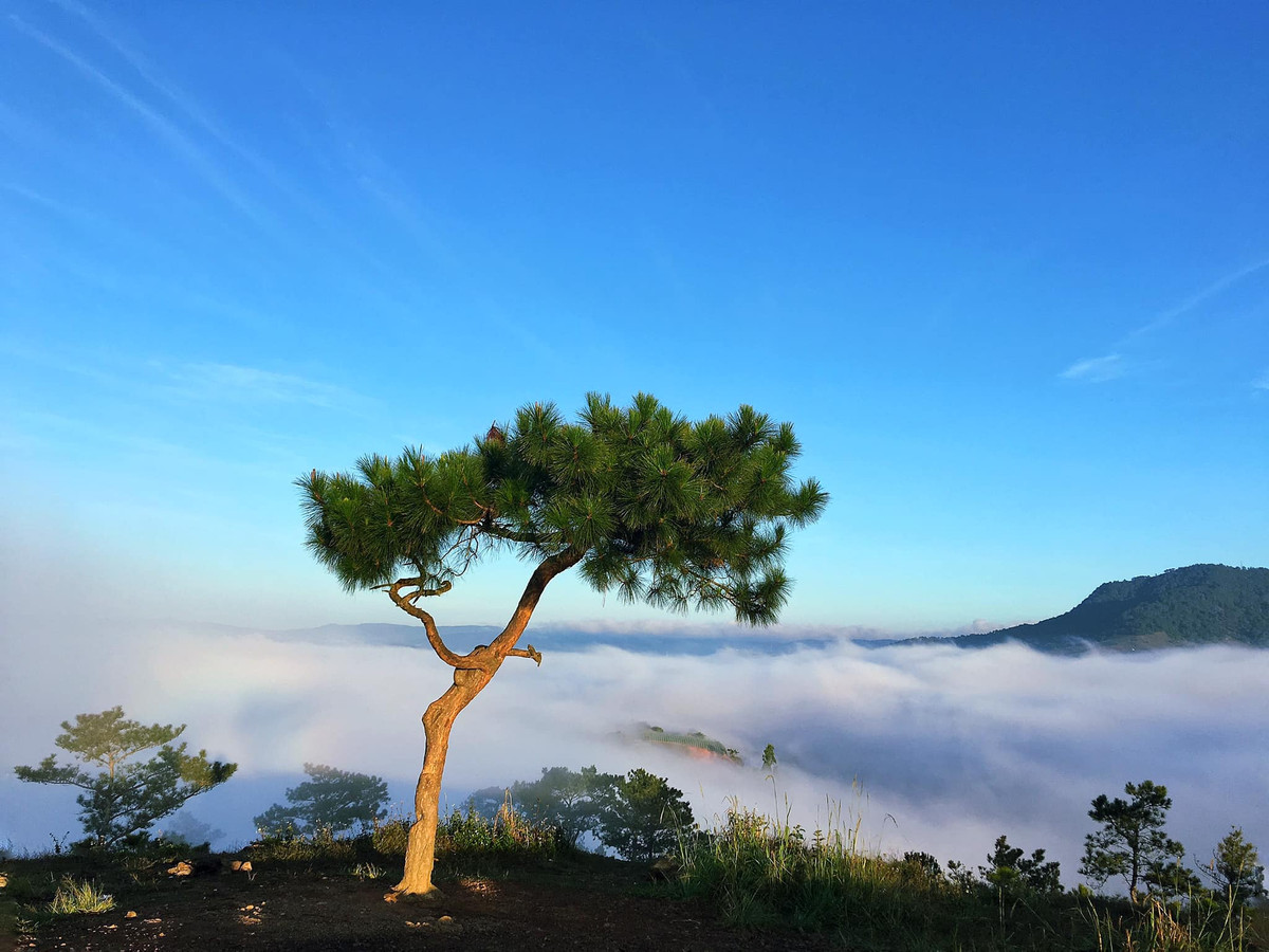 Thời điểm săn mây hợp lý là từ 4 giờ hơn, 5 giờ đến trước 6 giờ 30 phút sáng. Ảnh: Hoa Nguyễn