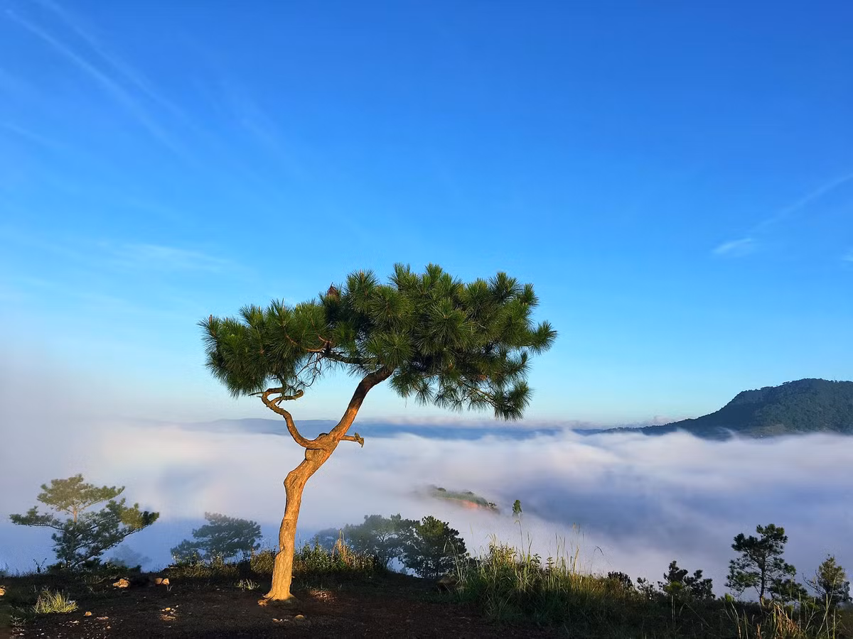 Thời điểm săn mây hợp lý là từ 4 giờ hơn, 5 giờ đến trước 6 giờ 30 phút sáng. Ảnh: Hoa Nguyễn