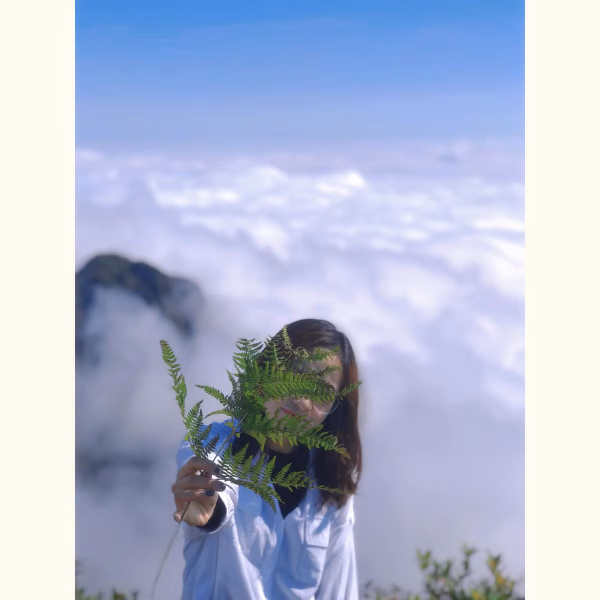 Thời điểm lý tưởng để săn mây tại đây khó xác định, vì quanh năm bốn mùa đều mang quang cảnh mây và sương dày. Ảnh: Mỹ Diệu