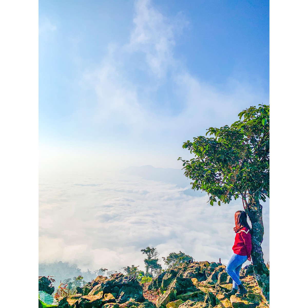 Đặc biệt bạn cần săn mây vào sáng sớm vì dải mây dày đặc sẽ kéo dài đến 10 giờ hoặc 11 giờ trưa. Ảnh: Thuý Thuý