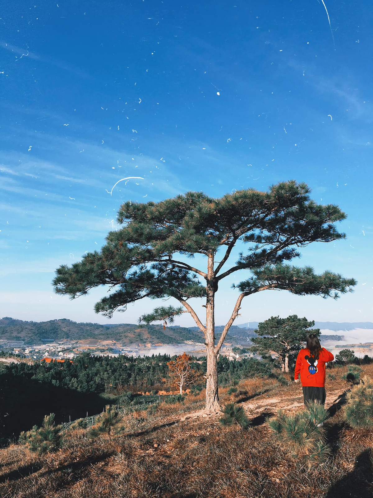 Một địa điểm săn mây khác cũng được nhiều người check in là đồi Thiên Phúc Đức, Đà Lạt. Ảnh: Hoa Nguyễn