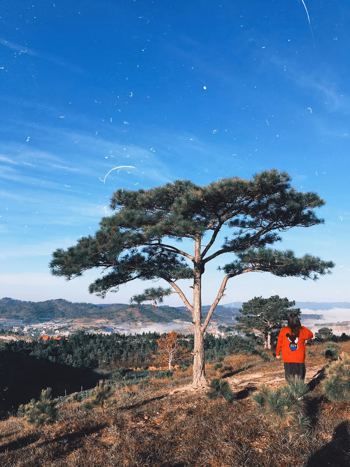 Một địa điểm săn mây khác cũng được nhiều người check in là đồi Thiên Phúc Đức, Đà Lạt. Ảnh: Hoa Nguyễn