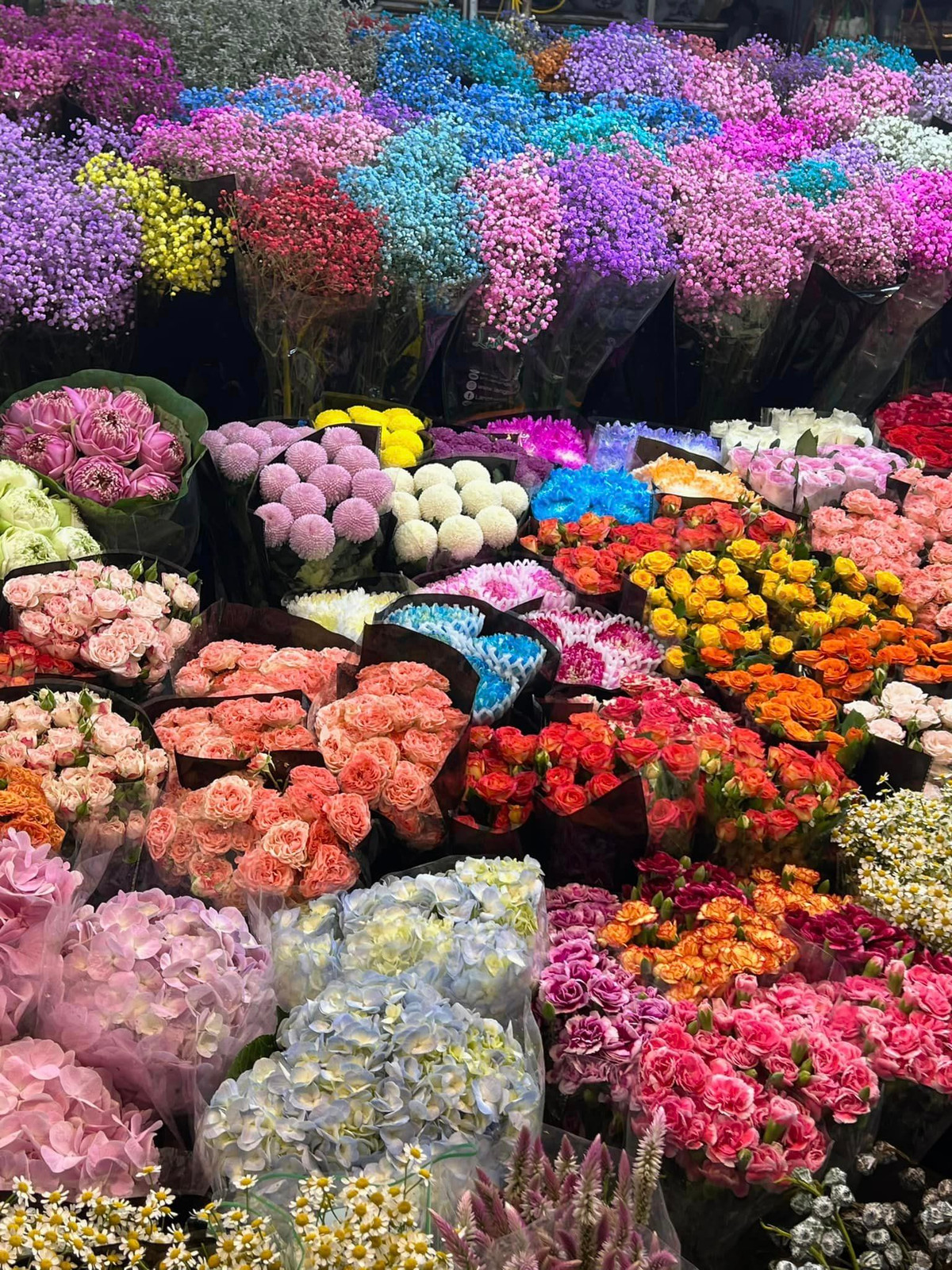 Ở đây, ta có thể bắt gặp vô số những loài hoa khác nhau với đa dạng màu sắc, chủng loại. Có lẽ chính vì thế mà nơi đây được nhiều bạn trẻ yêu cái đẹp đến check in.