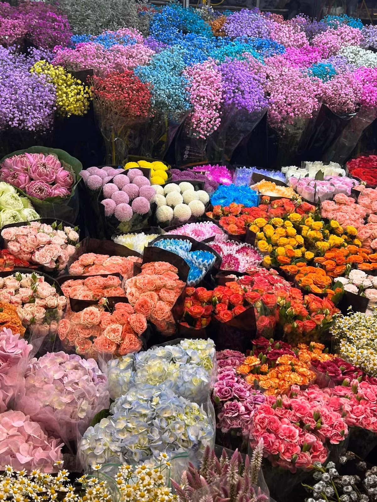 Ở đây, ta có thể bắt gặp vô số những loài hoa khác nhau với đa dạng màu sắc, chủng loại. Có lẽ chính vì thế mà nơi đây được nhiều bạn trẻ yêu cái đẹp đến check in.